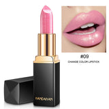 Professional Waterproof Long Lasting Pigment Lipstick - Miss Evita